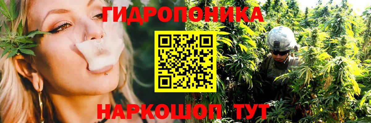 Каннабис ГИДРОПОН  Шишки марихуана планчик  Волжский  Марихуана марихуана  Вход с VPN  Конопля ГИДРОПОН 